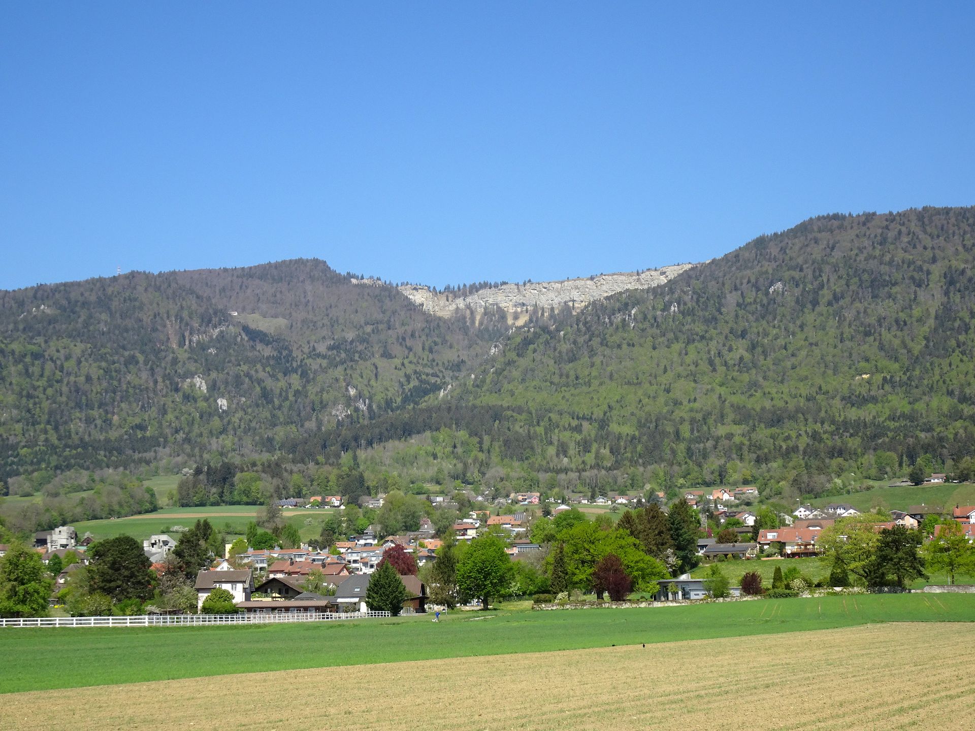 Bettlach